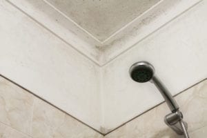 Black mold in bathroom