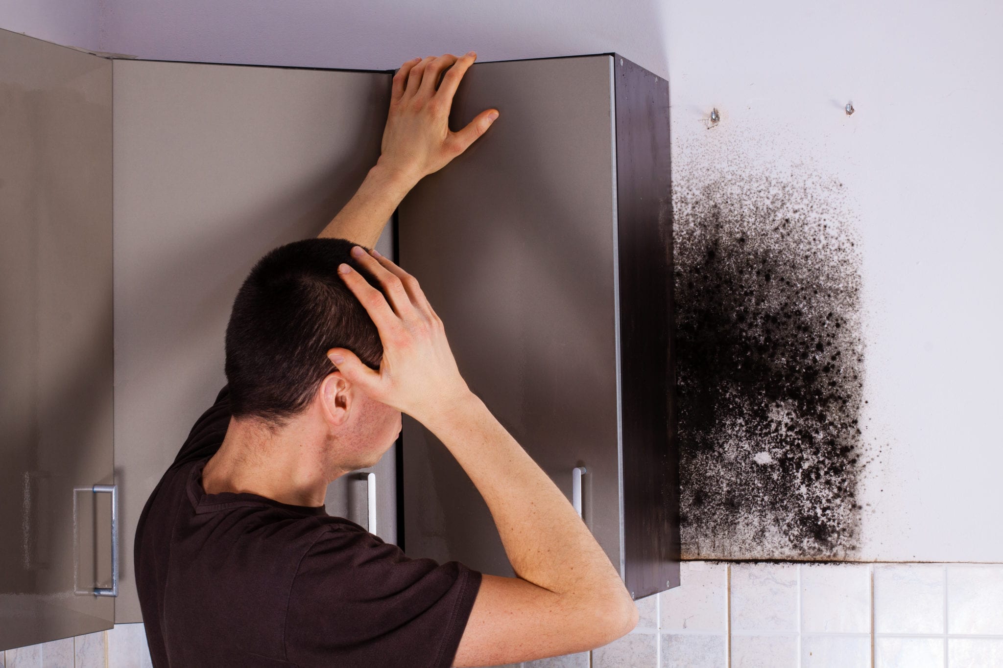 Man shocked to mold a kitchen cabinet.